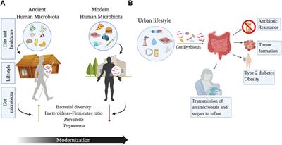 A complete guide to human microbiomes: Body niches, transmission, development, dysbiosis, and restoration